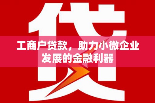仑背工商户贷款，助力小微企业发展的金融利器