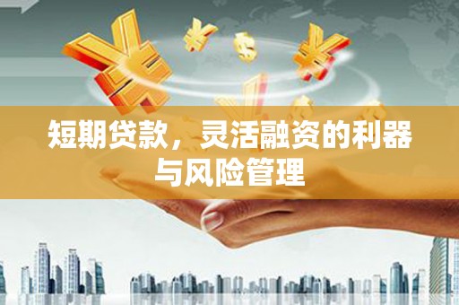 仑背短期贷款，灵活融资的利器与风险管理
