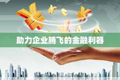 仑背助力企业腾飞的金融利器