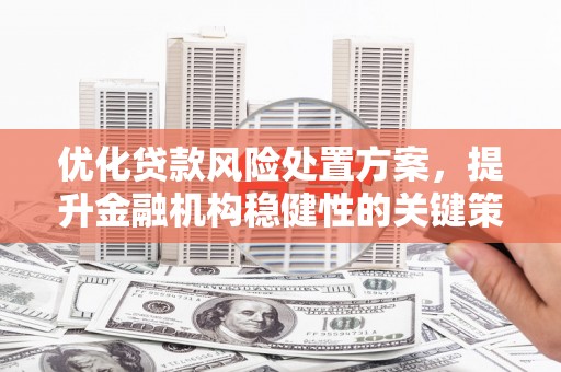 仑背优化贷款风险处置方案，提升金融机构稳健性的关键策略