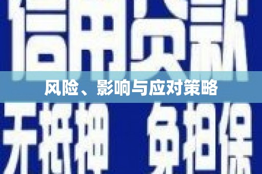 仑背风险、影响与应对策略