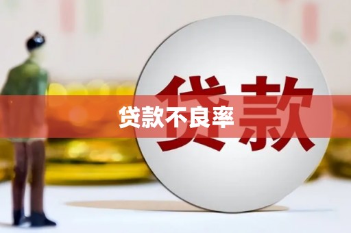 仑背贷款不良率