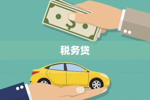 仑背税务贷