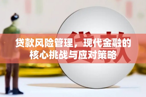 仑背贷款风险管理，现代金融的核心挑战与应对策略