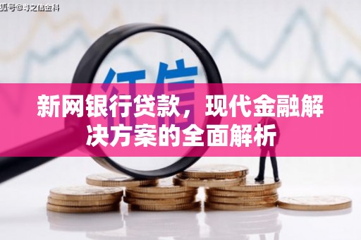 仑背新网银行贷款，现代金融解决方案的全面解析