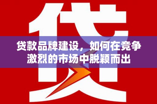 仑背贷款品牌建设，如何在竞争激烈的市场中脱颖而出