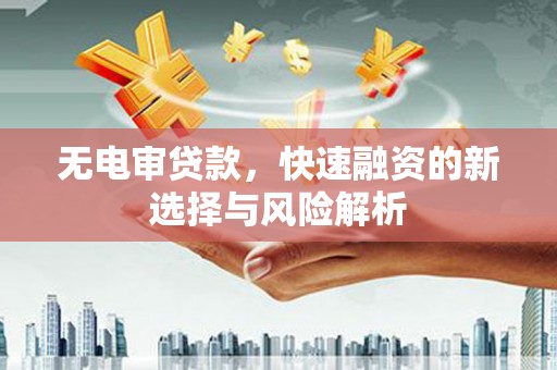 仑背无电审贷款，快速融资的新选择与风险解析