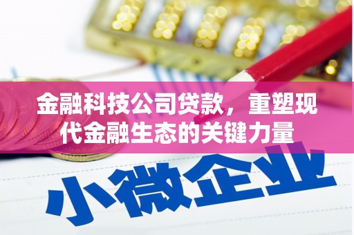 仑背金融科技公司贷款，重塑现代金融生态的关键力量