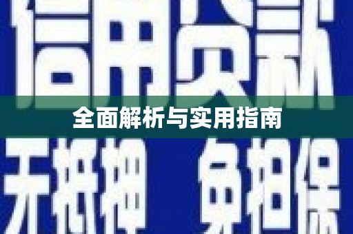 仑背全面解析与实用指南