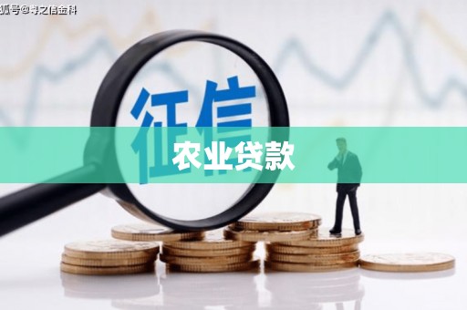 仑背农业贷款