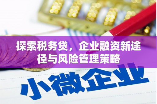 仑背探索税务贷，企业融资新途径与风险管理策略
