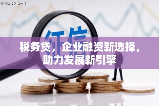 仑背税务贷，企业融资新选择，助力发展新引擎