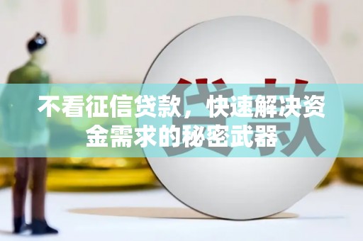 仑背不看征信贷款，快速解决资金需求的秘密武器