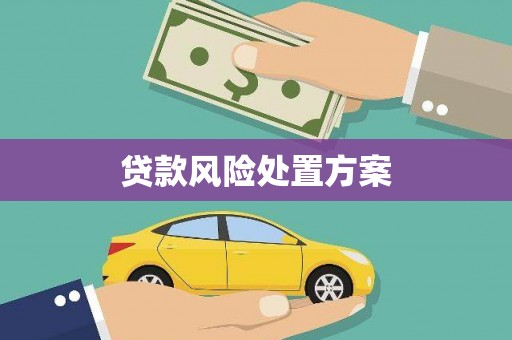 仑背贷款风险处置方案