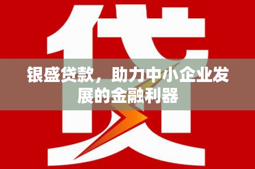 仑背银盛贷款，助力中小企业发展的金融利器
