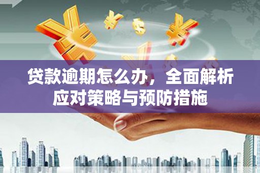 仑背贷款逾期怎么办，全面解析应对策略与预防措施