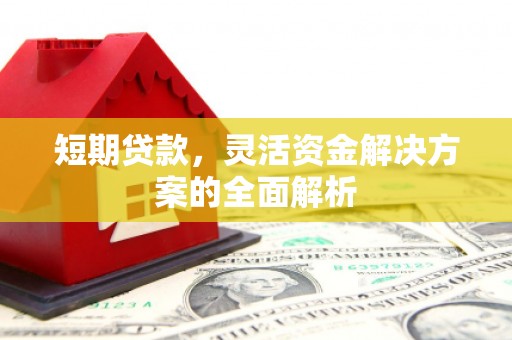 仑背短期贷款，灵活资金解决方案的全面解析