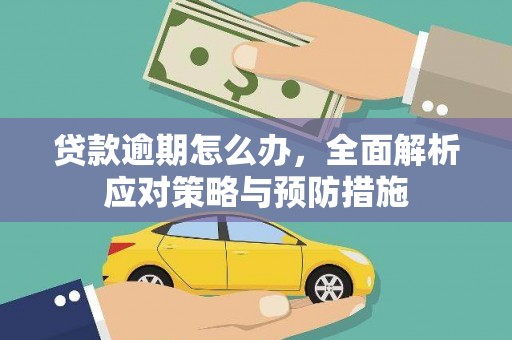 仑背贷款逾期怎么办，全面解析应对策略与预防措施