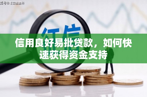 仑背信用良好易批贷款，如何快速获得资金支持