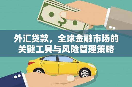 仑背外汇贷款，全球金融市场的关键工具与风险管理策略