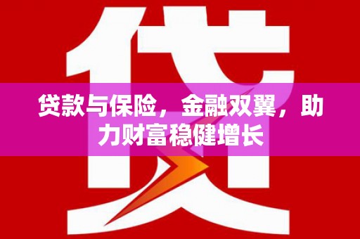 仑背贷款与保险，金融双翼，助力财富稳健增长
