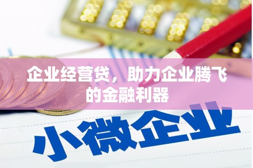仑背企业经营贷，助力企业腾飞的金融利器