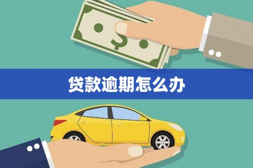 仑背贷款逾期怎么办