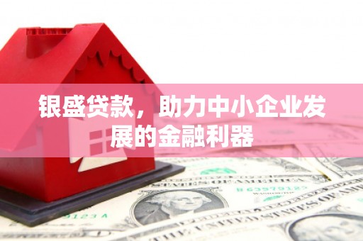 仑背银盛贷款，助力中小企业发展的金融利器