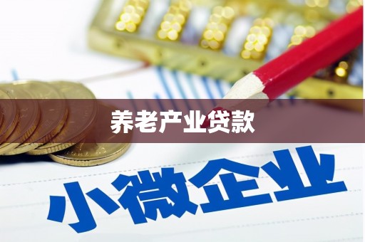 仑背养老产业贷款