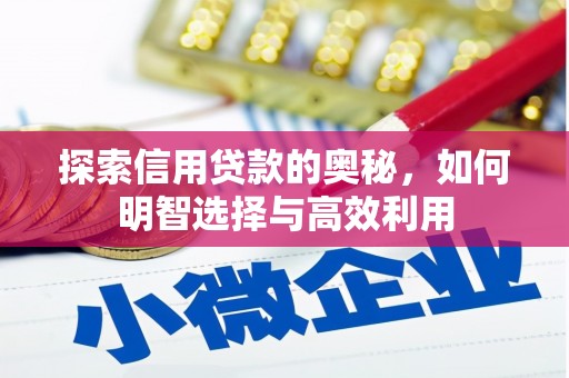 仑背探索信用贷款的奥秘，如何明智选择与高效利用