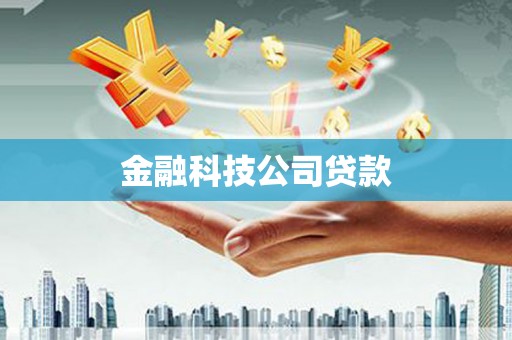 仑背金融科技公司贷款