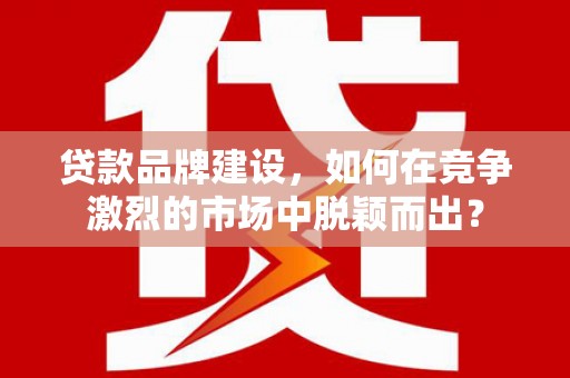 仑背贷款品牌建设，如何在竞争激烈的市场中脱颖而出？