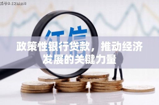 仑背政策性银行贷款，推动经济发展的关键力量