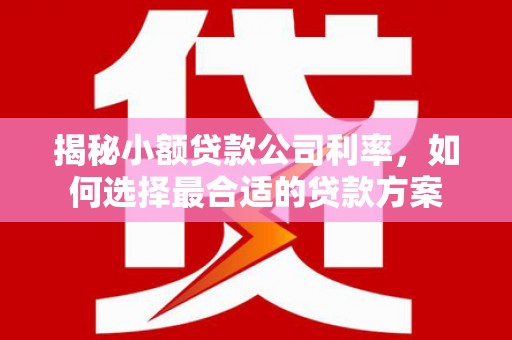 仑背揭秘小额贷款公司利率，如何选择最合适的贷款方案