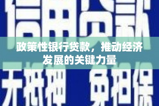 仑背政策性银行贷款，推动经济发展的关键力量