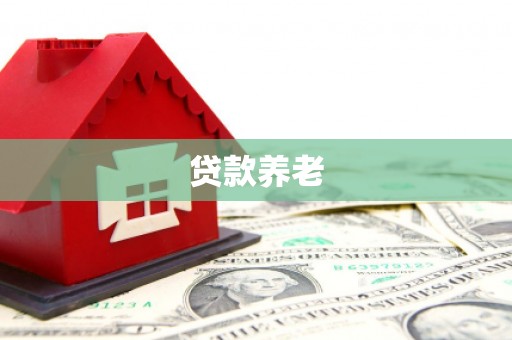 仑背贷款养老