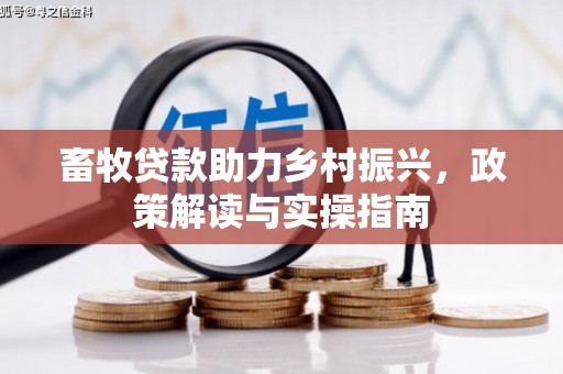 仑背畜牧贷款助力乡村振兴，政策解读与实操指南