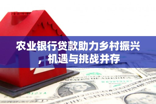 仑背农业银行贷款助力乡村振兴，机遇与挑战并存