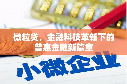 仑背微粒贷，金融科技革新下的普惠金融新篇章