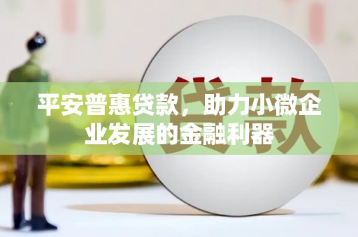 仑背平安普惠贷款，助力小微企业发展的金融利器