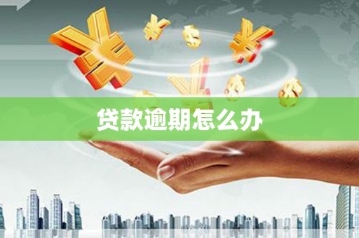仑背贷款逾期怎么办