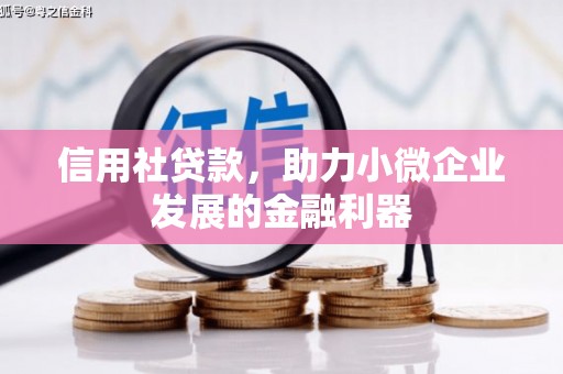 仑背信用社贷款，助力小微企业发展的金融利器