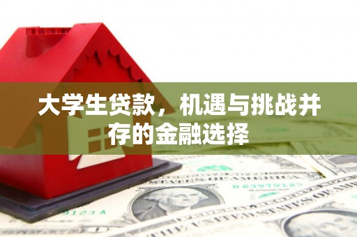 仑背大学生贷款，机遇与挑战并存的金融选择