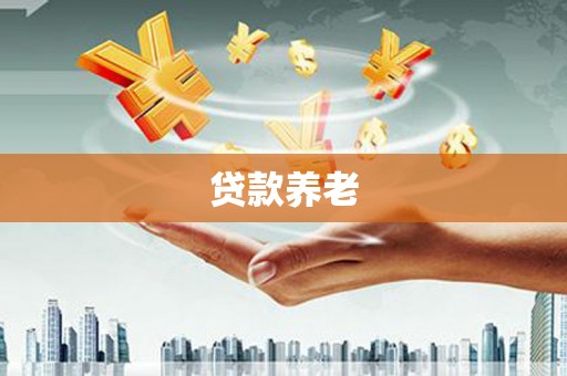 仑背贷款养老