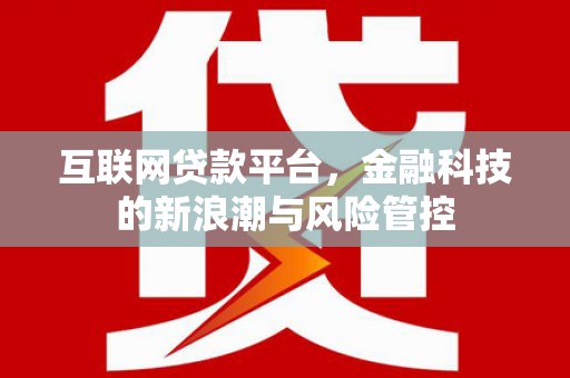 仑背互联网贷款平台，金融科技的新浪潮与风险管控