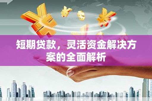 仑背短期贷款，灵活资金解决方案的全面解析