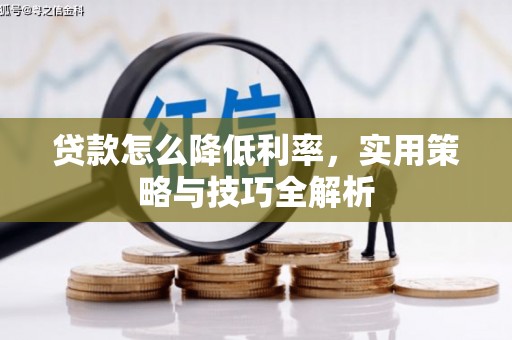 仑背贷款怎么降低利率，实用策略与技巧全解析