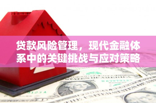仑背贷款风险管理，现代金融体系中的关键挑战与应对策略