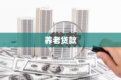 仑背养老贷款