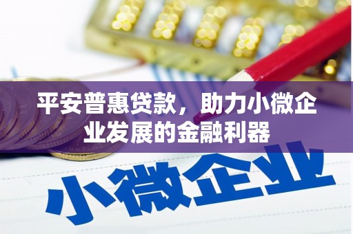 仑背平安普惠贷款，助力小微企业发展的金融利器